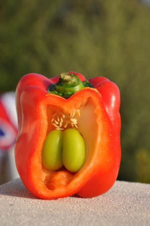 Paprika S
